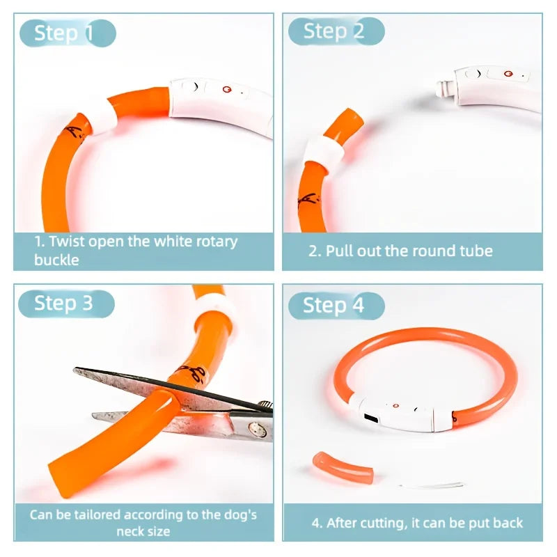LED Dog Collar