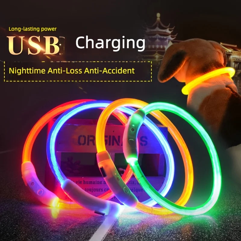 LED Dog Collar