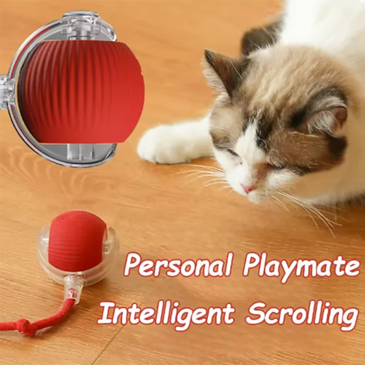 Interactive Self-Play Cat Toy