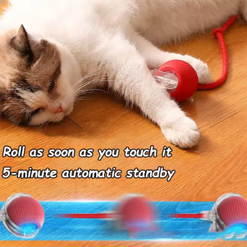 Interactive Self-Play Cat Toy