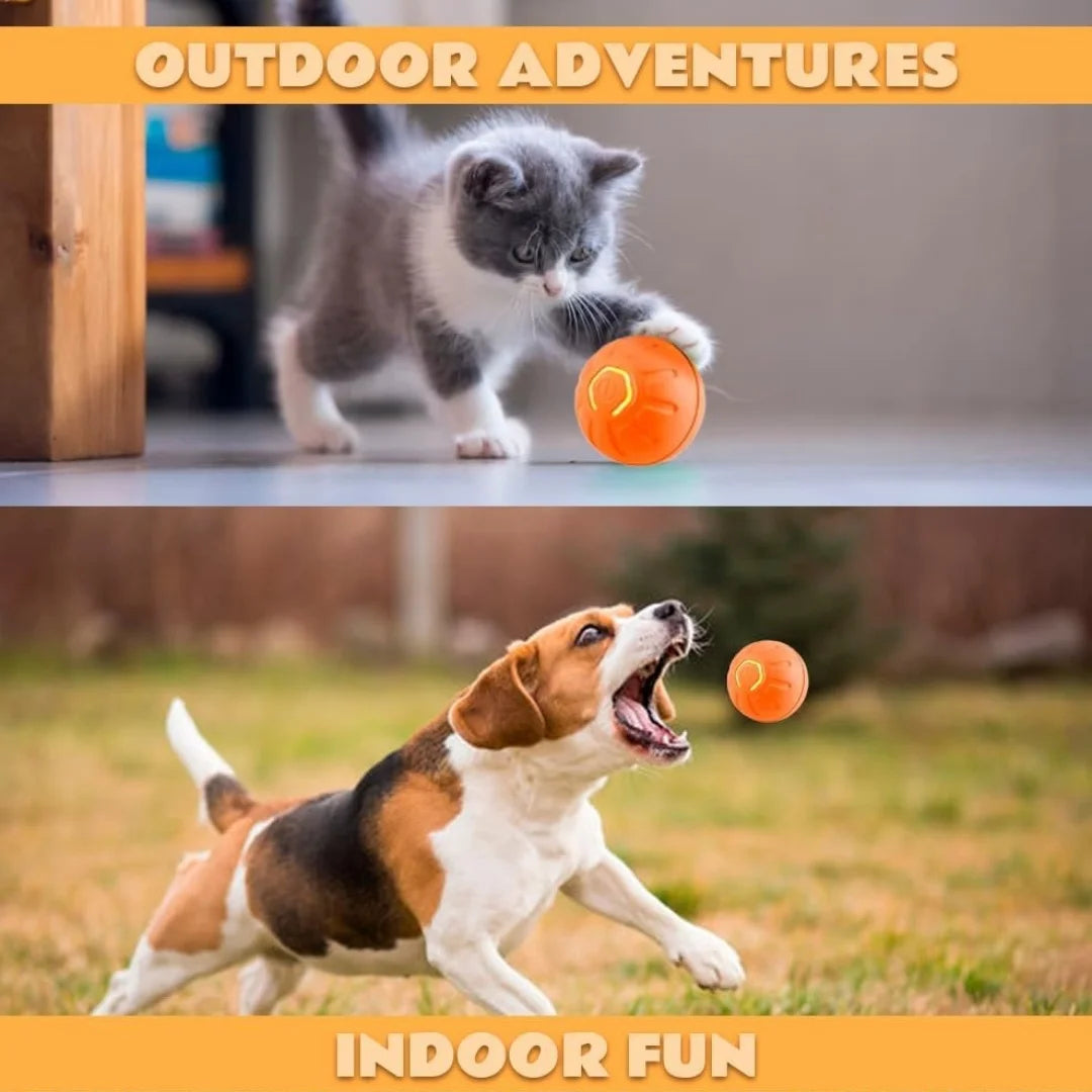 Interactive Automatic Toy for Dogs & Cats