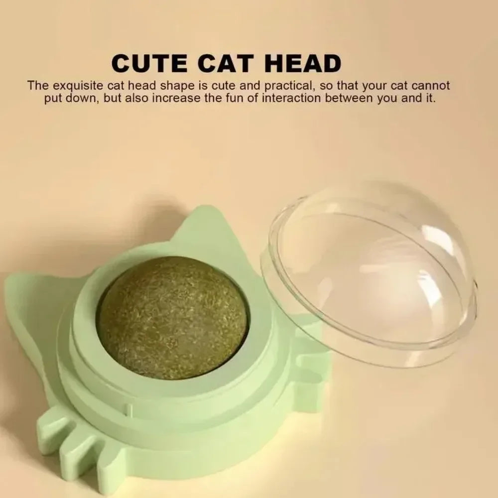 Catnip Lickable Ball Toy