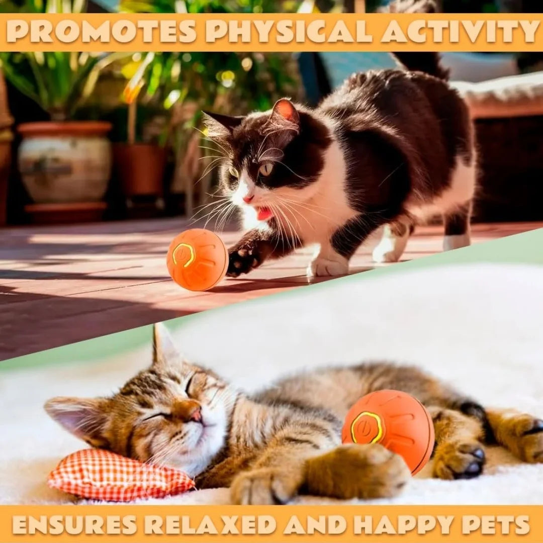 Interactive Automatic Toy for Dogs & Cats