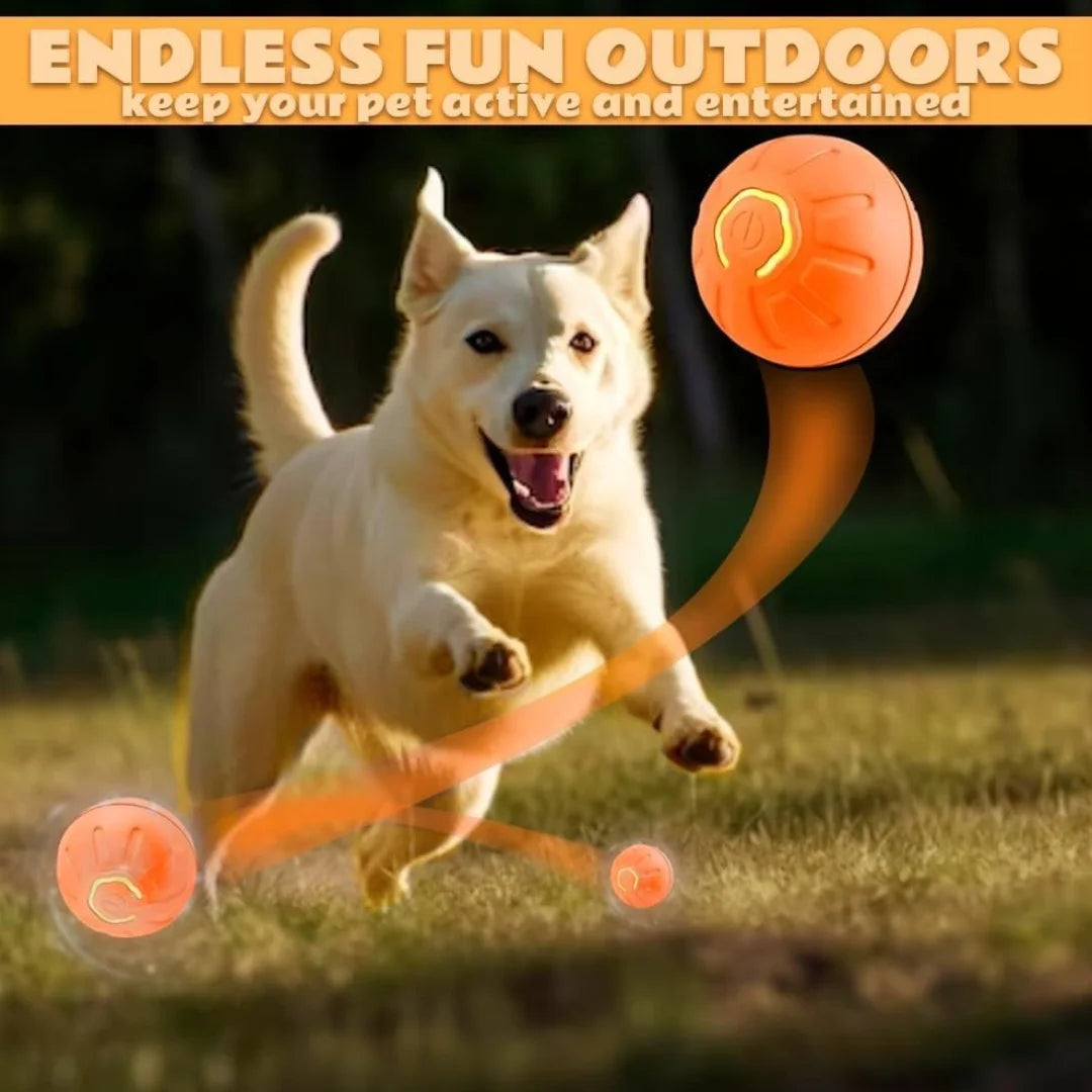 Interactive Automatic Toy for Dogs & Cats