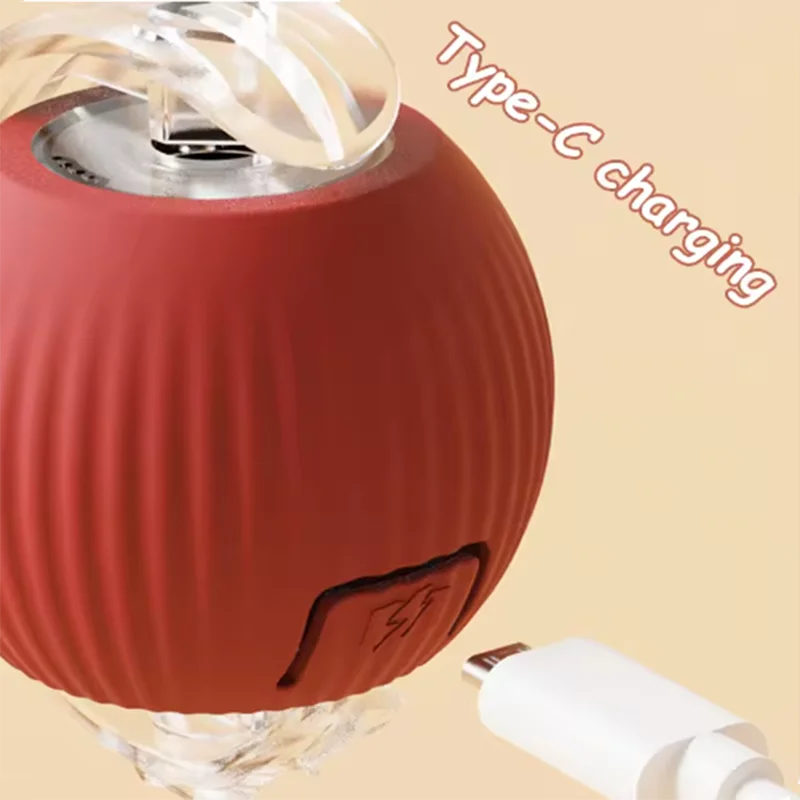 Interactive Self-Play Cat Toy