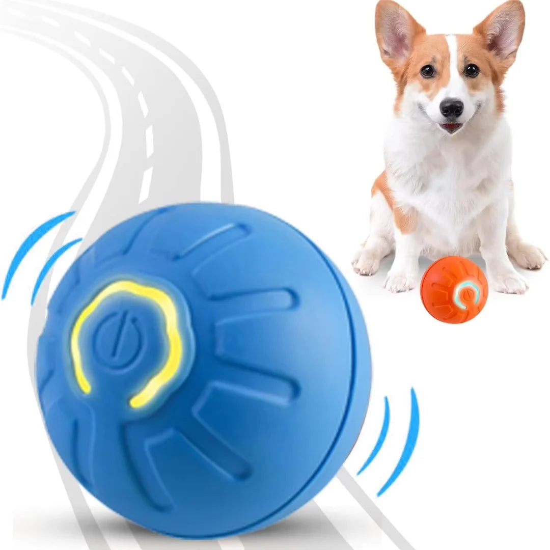 Interactive Automatic Toy for Dogs & Cats