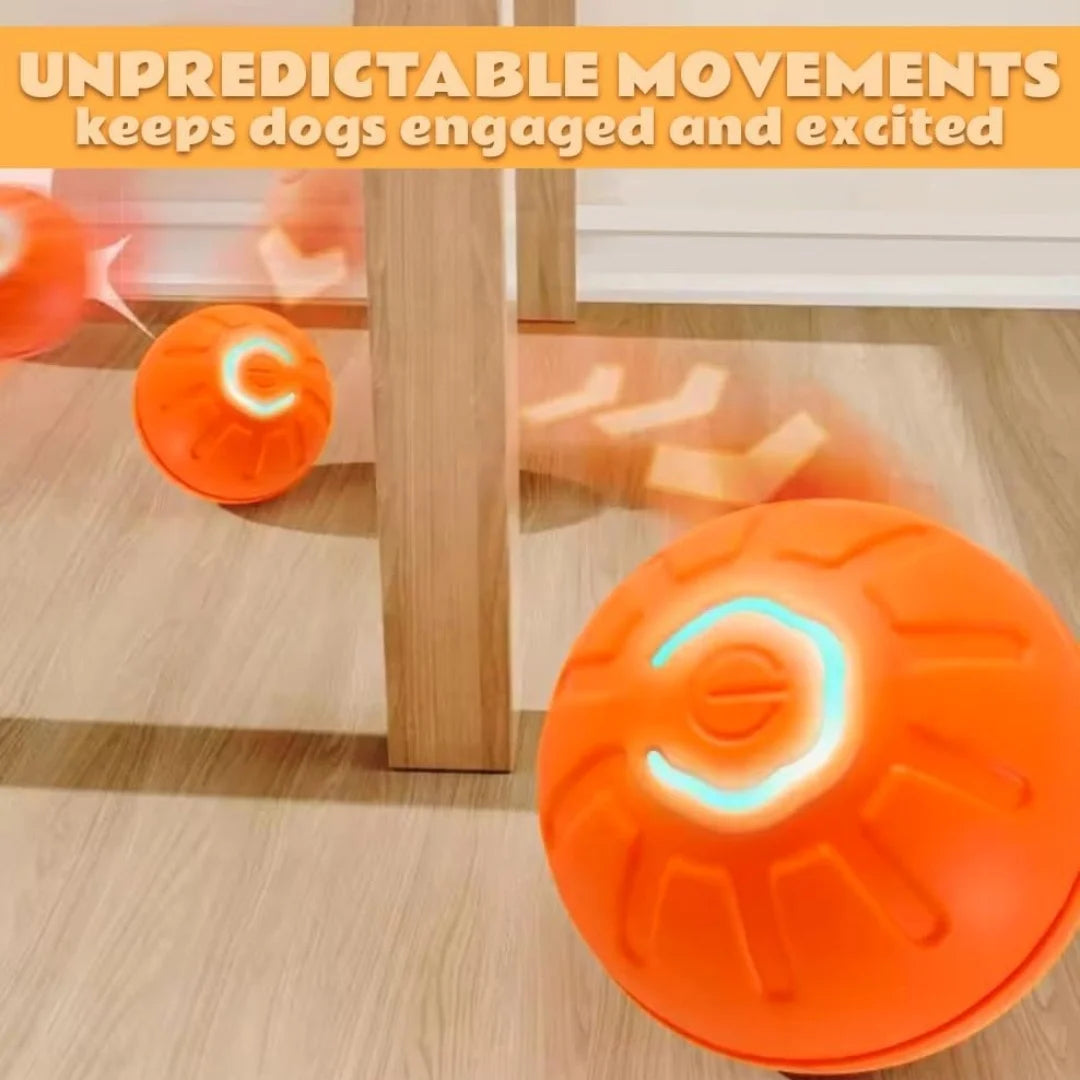 Interactive Automatic Toy for Dogs & Cats