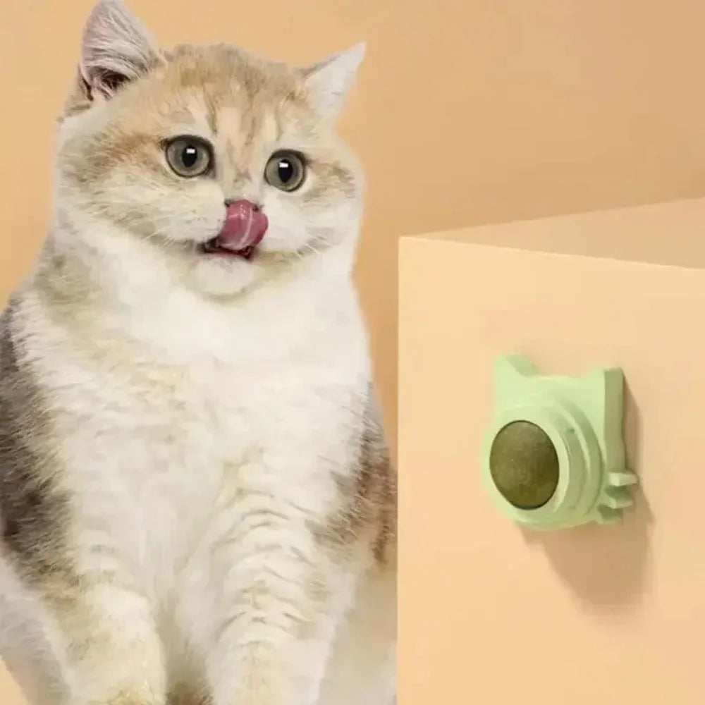 Catnip Lickable Ball Toy