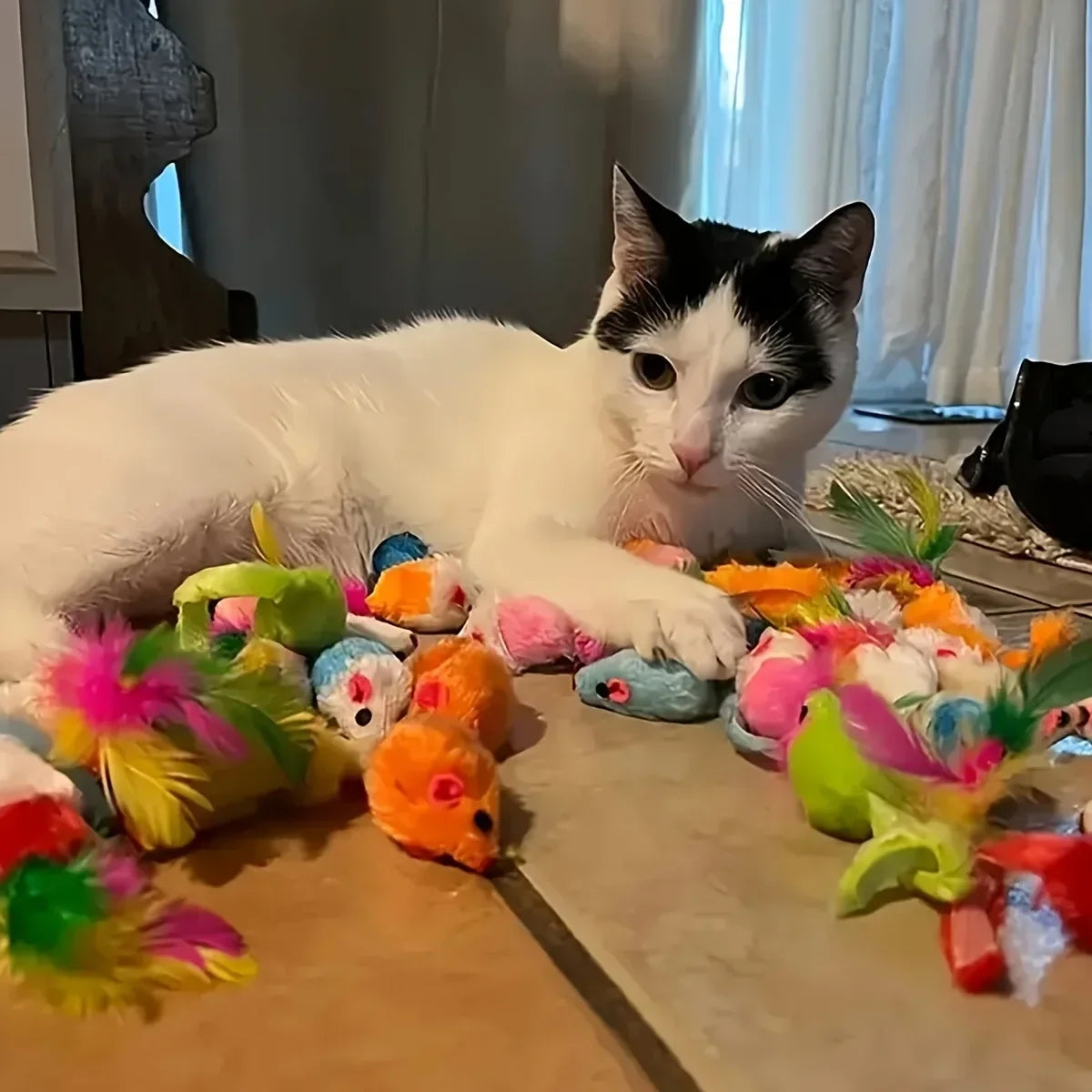 Cat Toys Mixed Pack