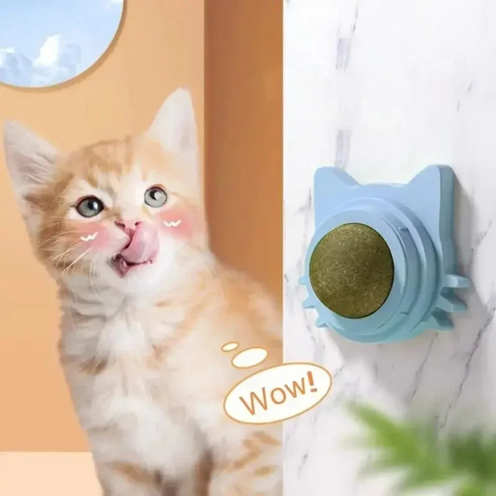 Catnip Lickable Ball Toy