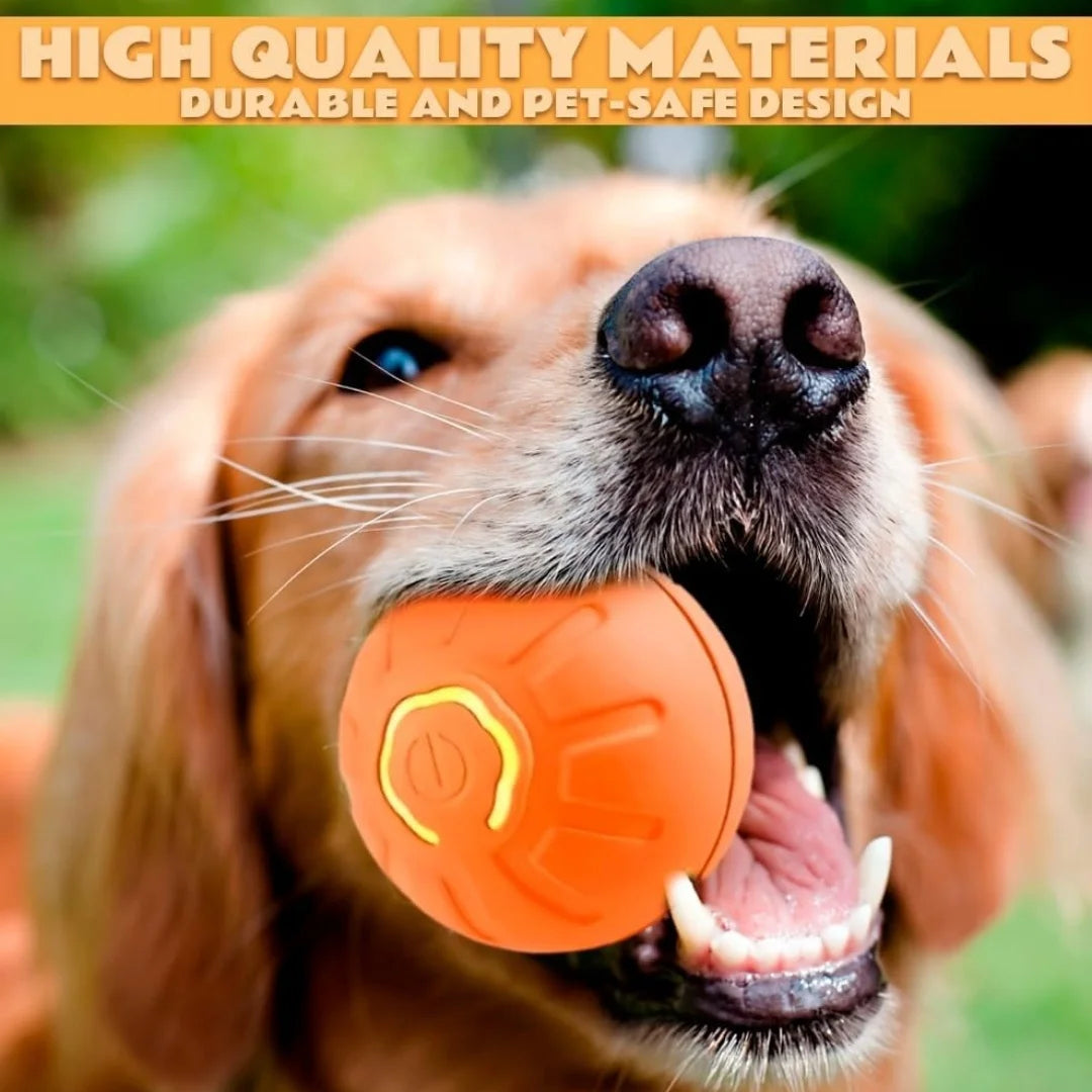 Interactive Automatic Toy for Dogs & Cats