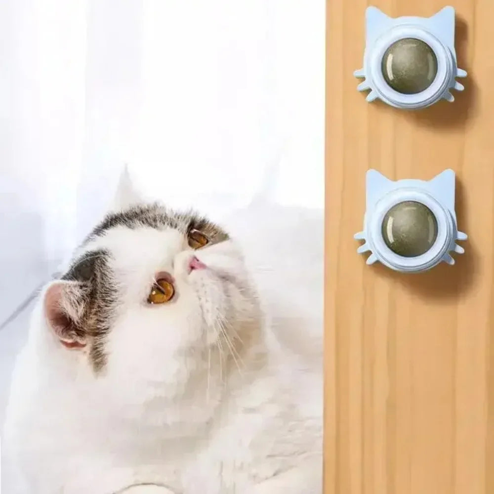 Catnip Lickable Ball Toy