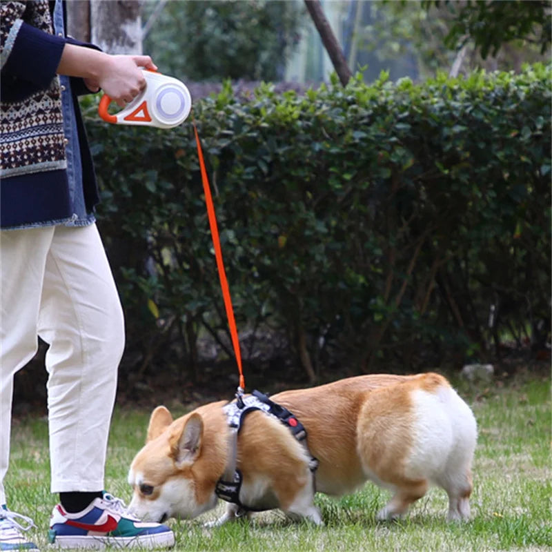 5M Automatic Retractable Dog Leash