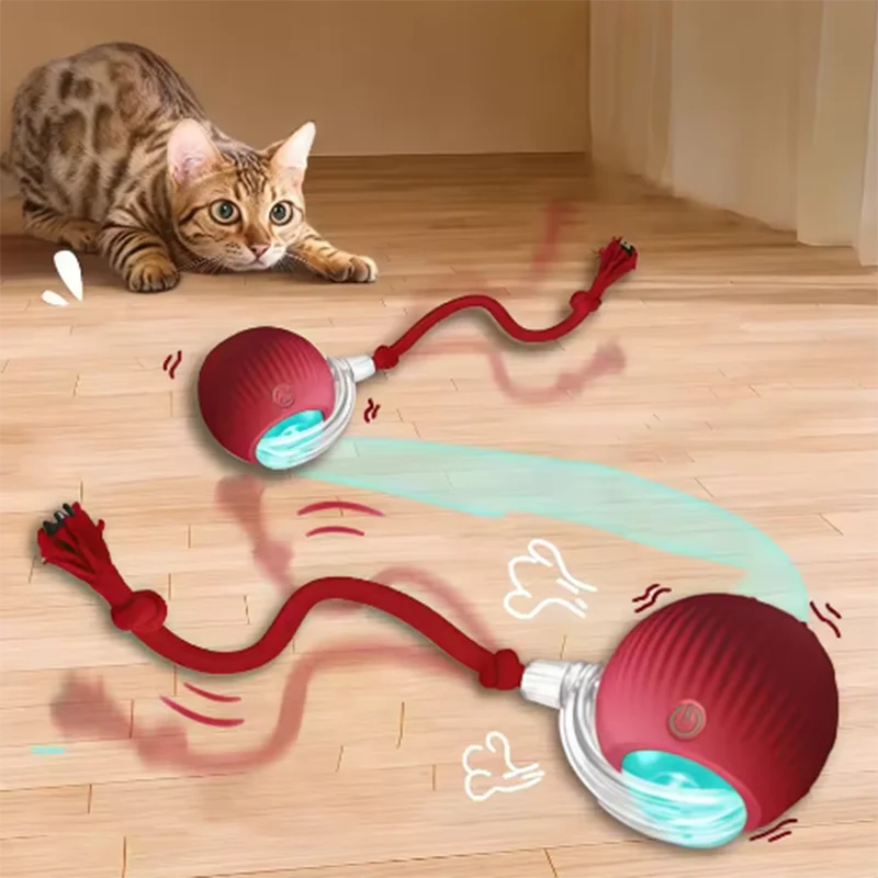 Interactive Self-Play Cat Toy