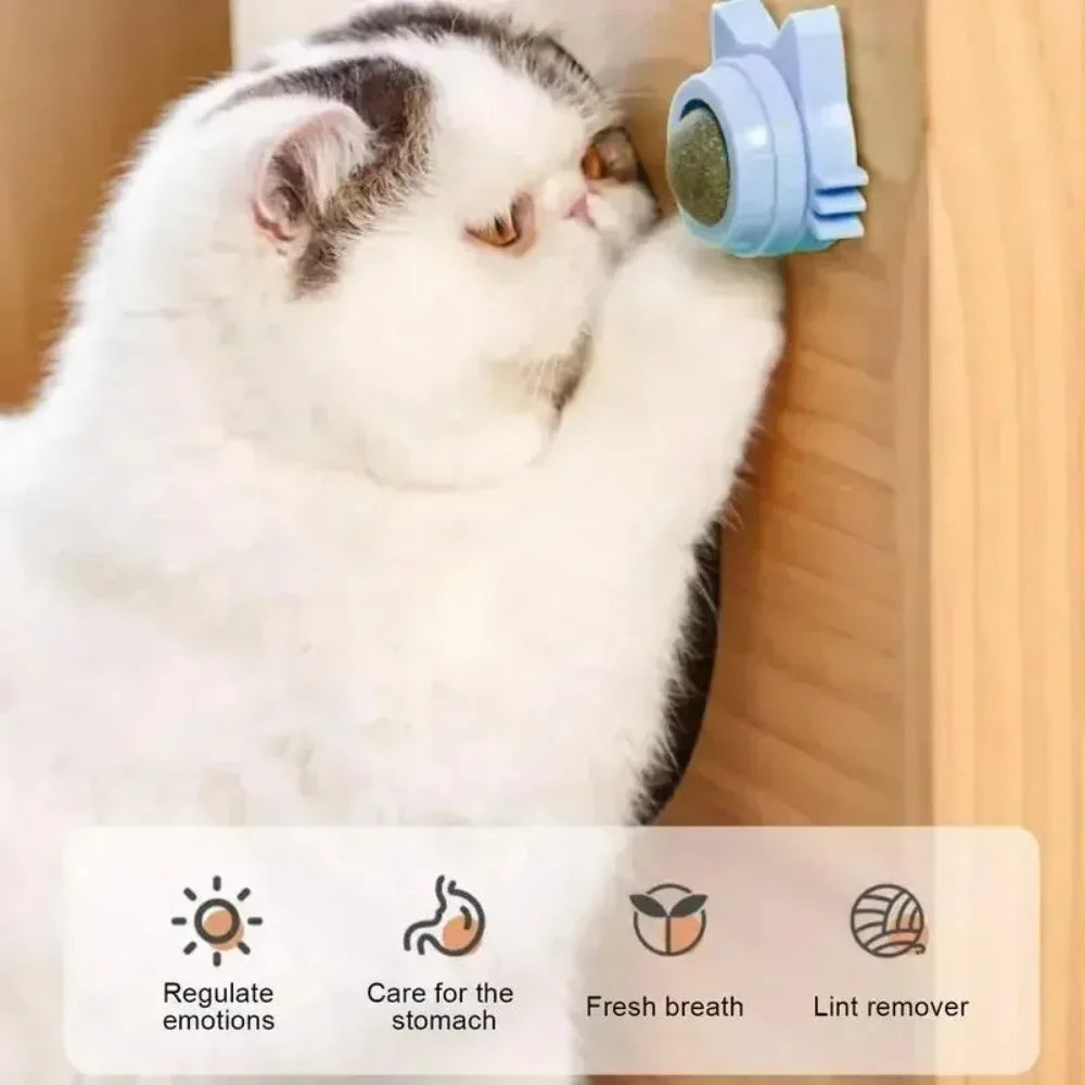 Catnip Lickable Ball Toy