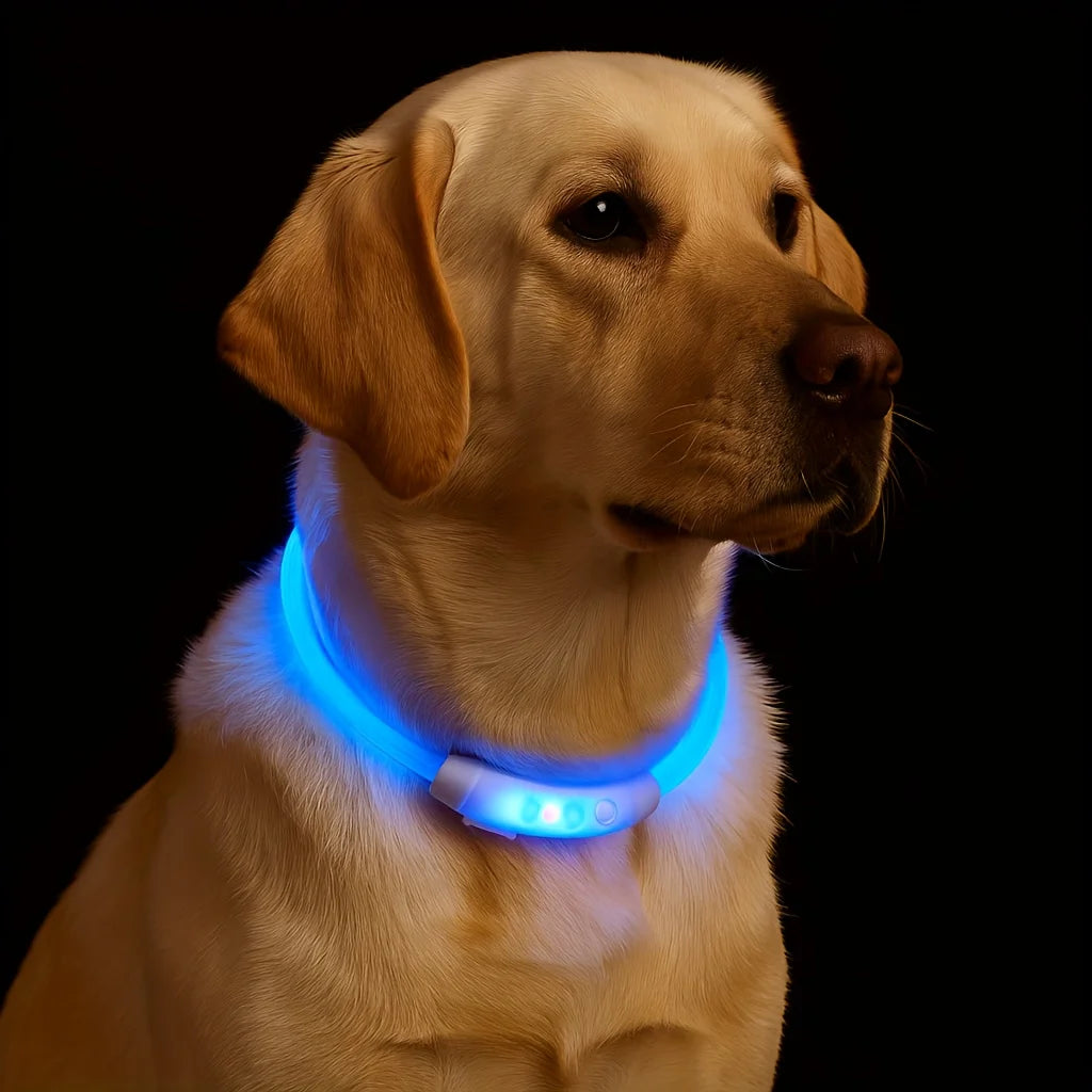 LED Dog Collar