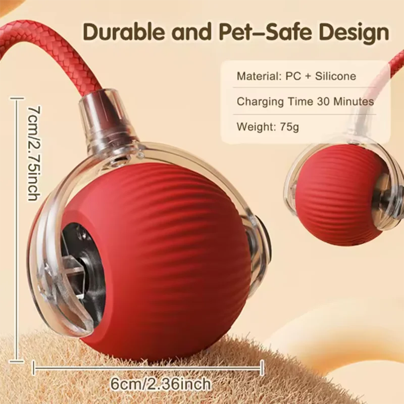 Interactive Self-Play Cat Toy